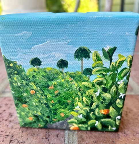 Orange Grove Mini Painting - Original Art - Oranges